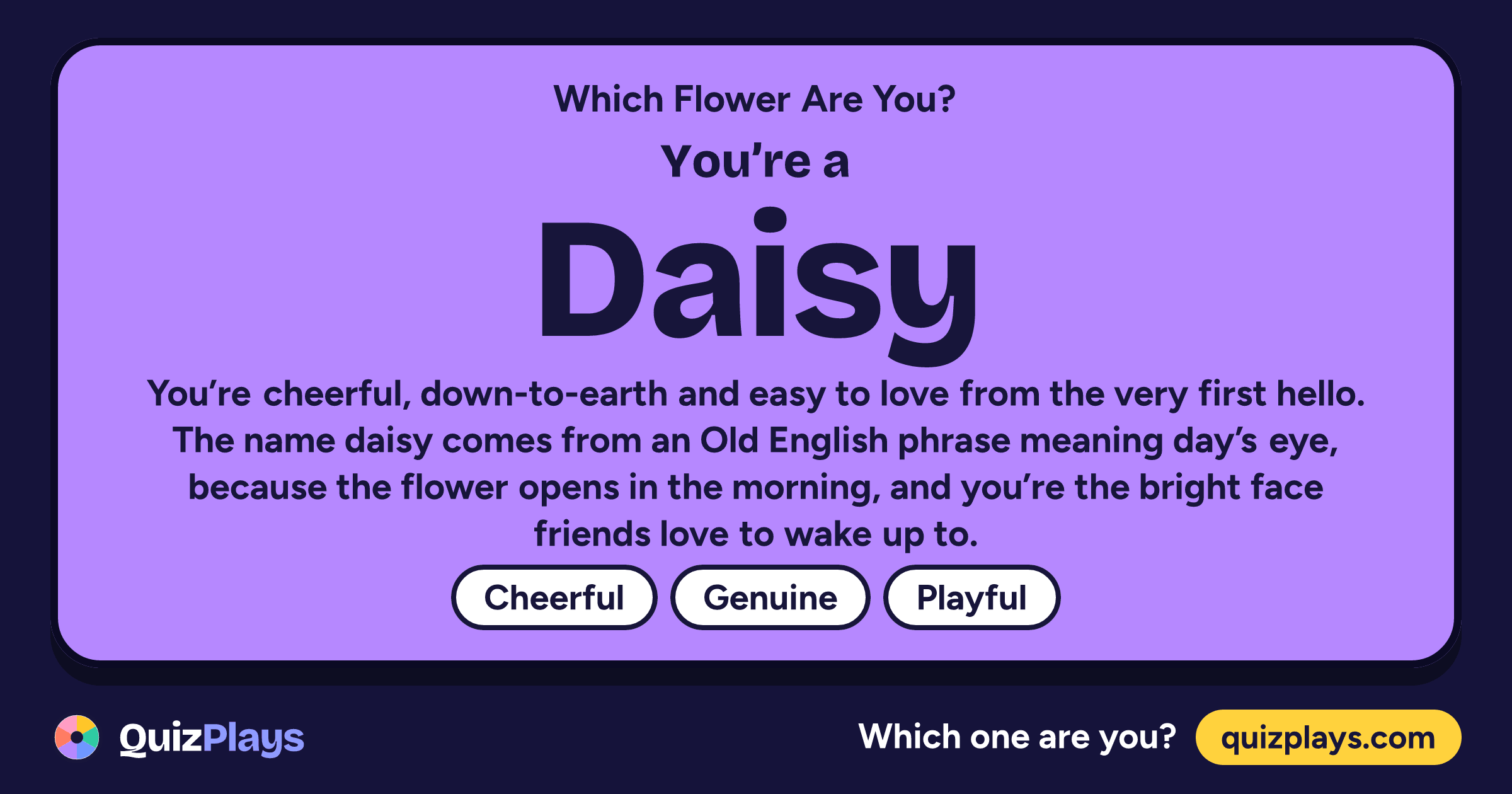 Daisy result card from the Which Flower Are You? quiz