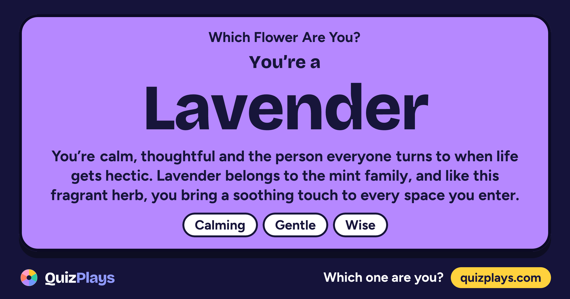 Lavender result card from the Which Flower Are You? quiz