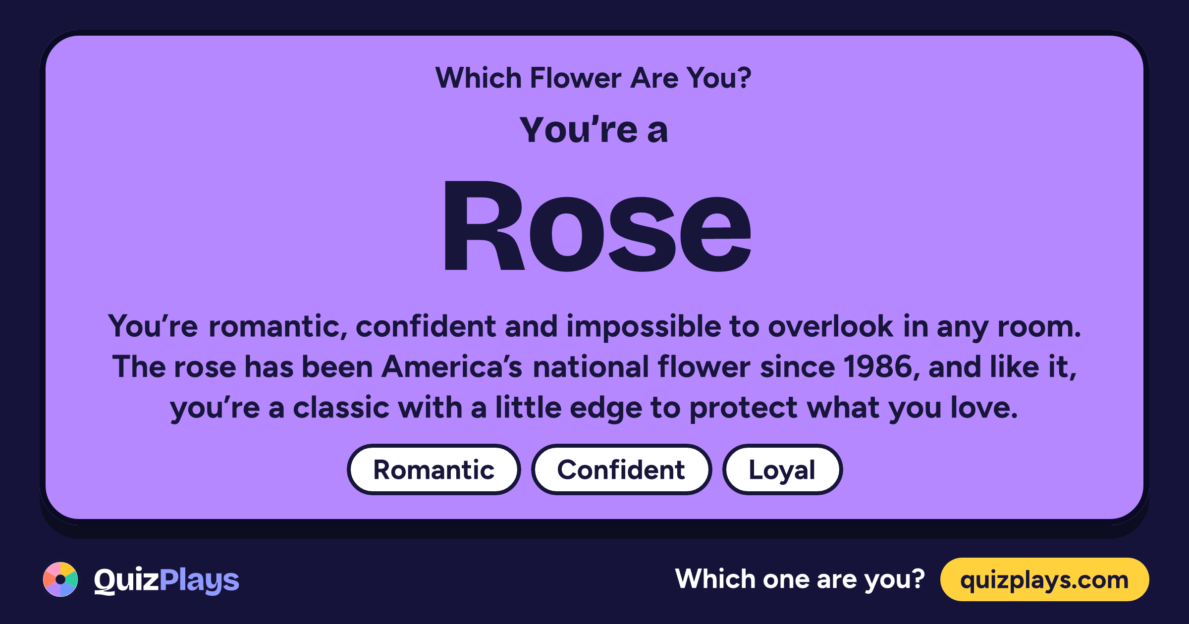 Rose result card from the Which Flower Are You? quiz
