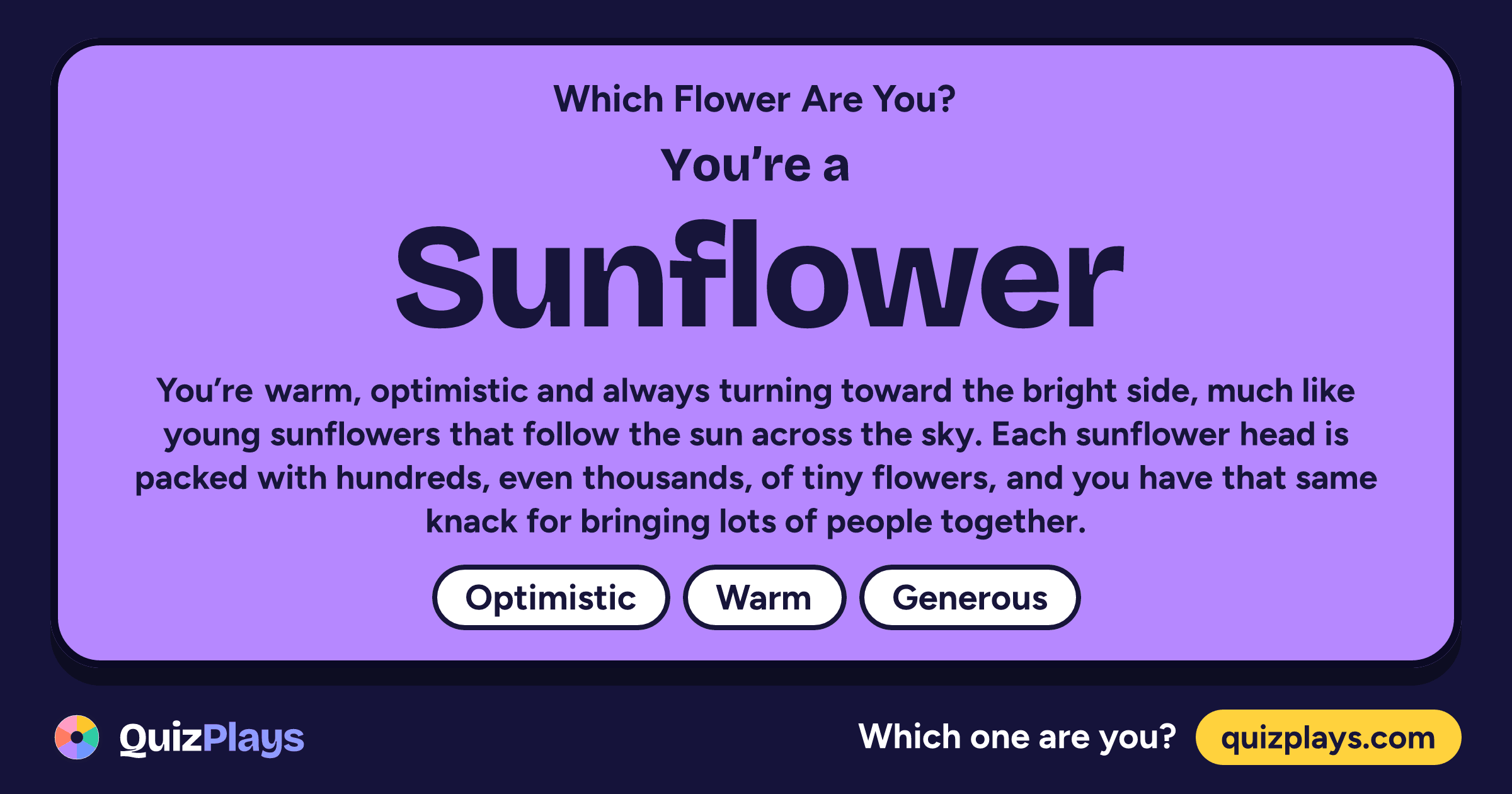 Sunflower result card from the Which Flower Are You? quiz