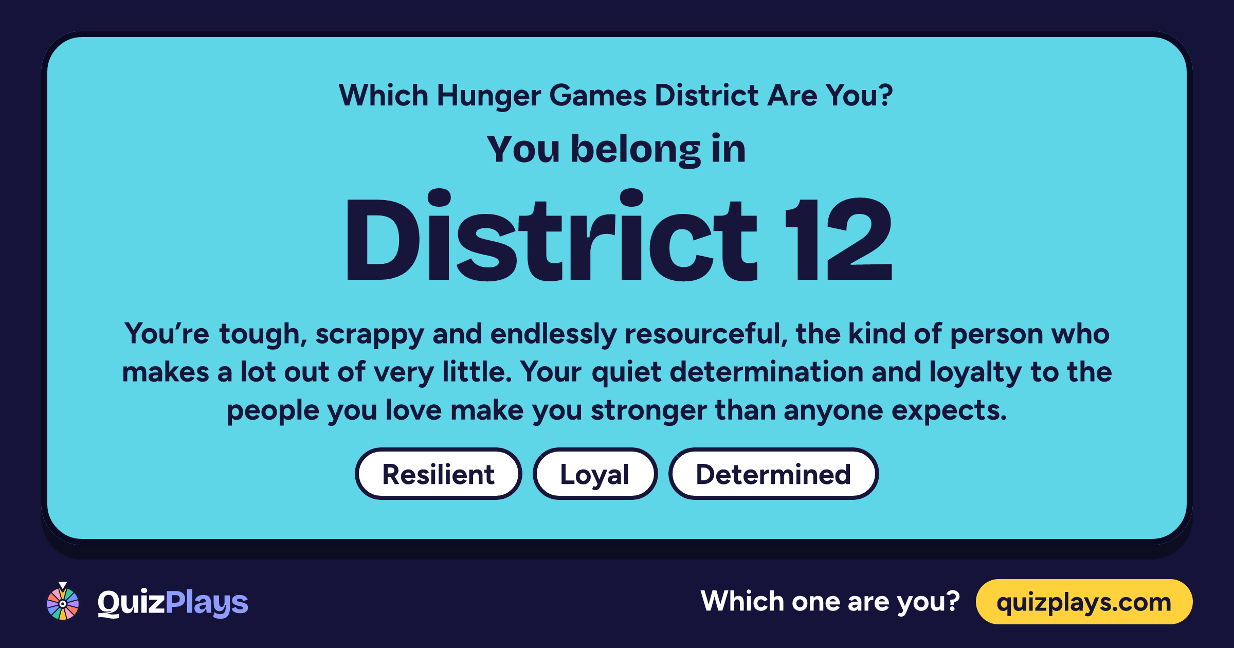District 12 result card from the Which Hunger Games District Are You? quiz