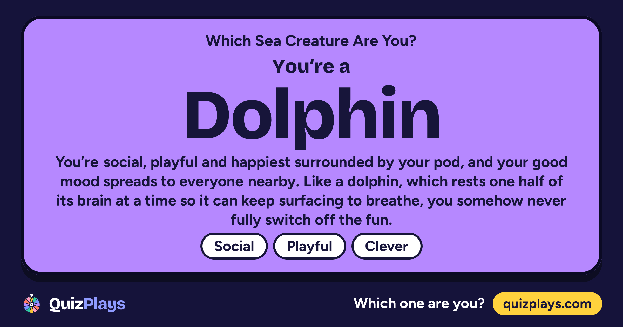 Dolphin result card from the Which Sea Creature Are You? quiz