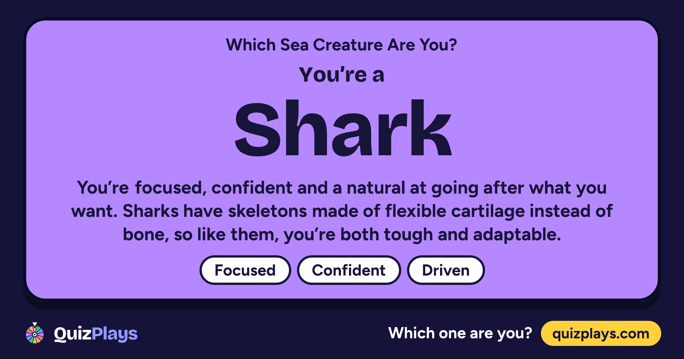 Shark result card from the Which Sea Creature Are You? quiz